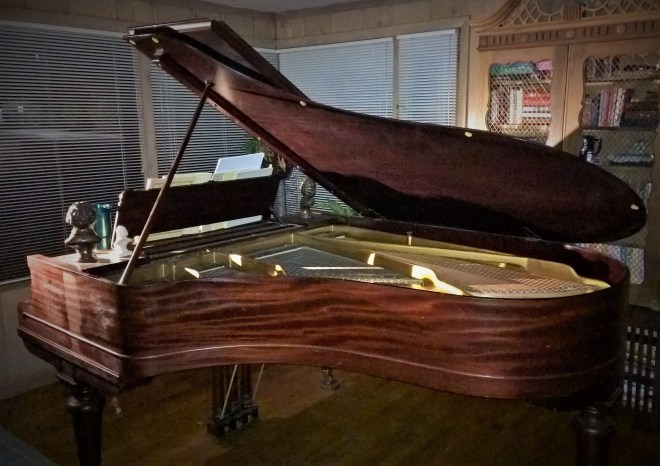 WP_20170825_22_28_54_Pro