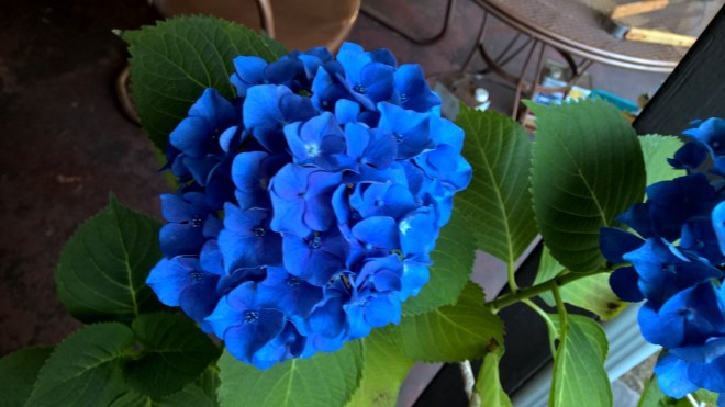 WP_20150720_19_48_07_Pro